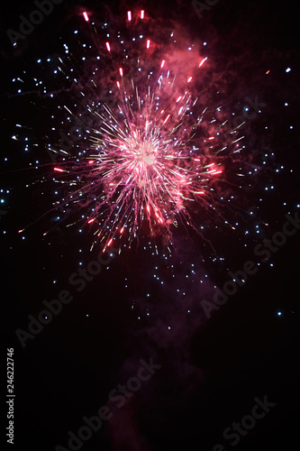 fireworks in the night sky
