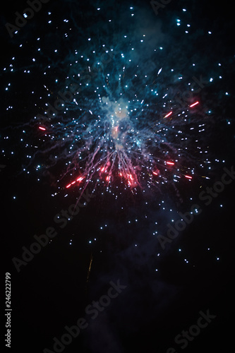 fireworks in the night sky