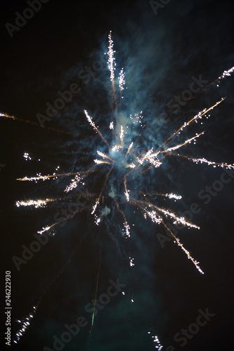 fireworks in the night sky