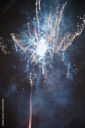 fireworks in the night sky