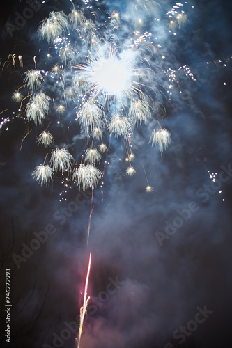 fireworks in the night sky