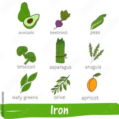 Vegetables and fruits with a high content of iron. Hand drawn vector vitamin set.