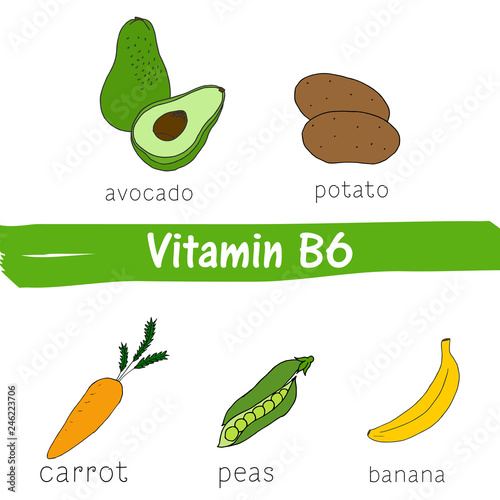 Vegetables and fruits with a high content of vitamin B6. Hand drawn vector vitamin set.