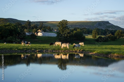 Wensleydale Pond