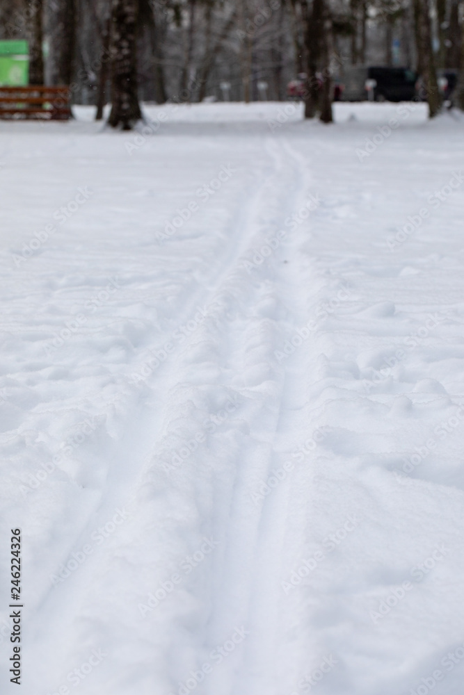 Traces from skis on snow