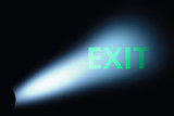Sign exit in the rays of light. Glowing green exit sign. 3d illustration