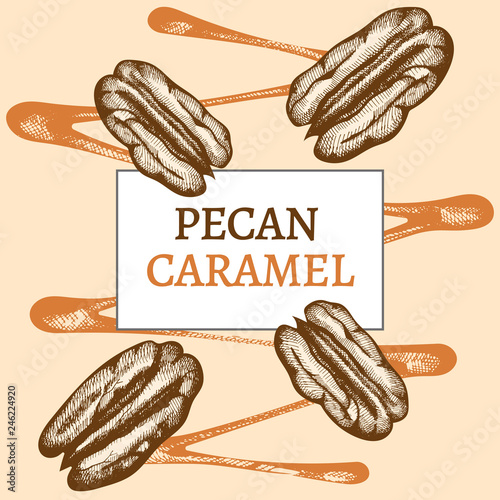 Pecan nuts and caramel. Hand drawn Vector illustration