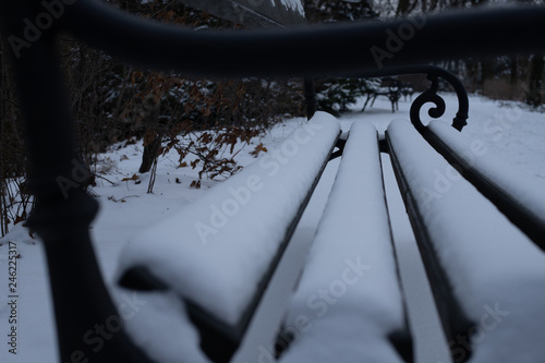 Drewniane ciemne ławki w parku pokryte śniegiem