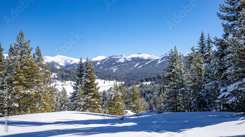 Vail Pass Winter Landscape 2