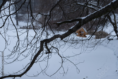 Drewniany karmnik zawieszony na gałęzi zimą photo