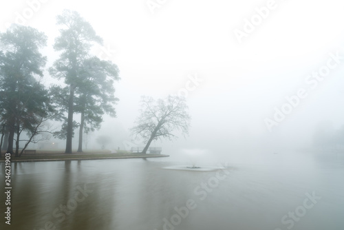 Wallpaper Mural Dense Fog Covering Lake and Trees Torontodigital.ca