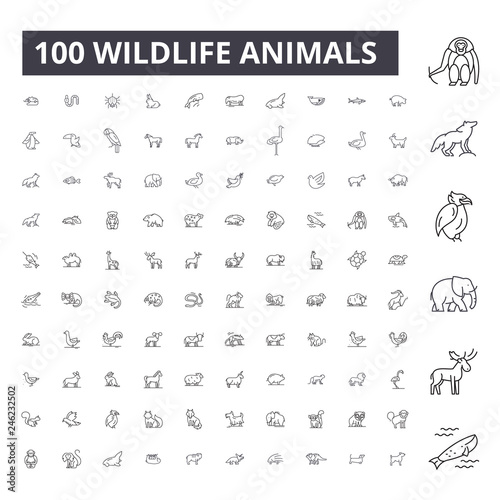 Photography Wildlife animals editable line icons, 100 vector set on white background