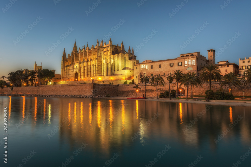 Night view of the Cathedral de Santa Maria in Palma de Mallorca, Balearic islands, Spain
