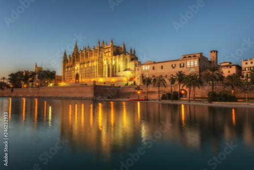 Night view of the Cathedral de Santa Maria in Palma de Mallorca, Balearic islands, Spain