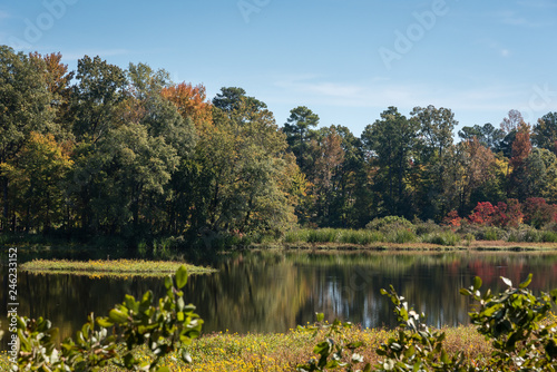 Autumn's Beginnings at Lake