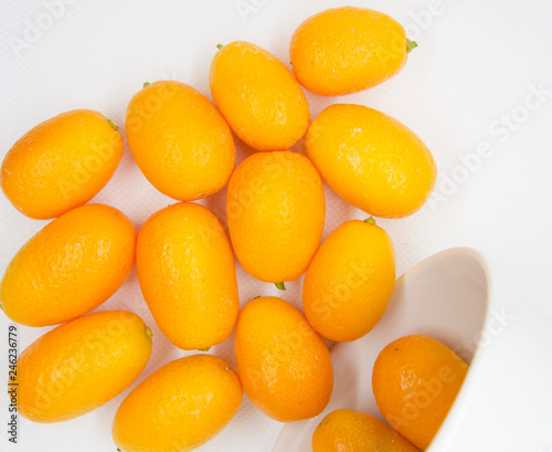 Citrus japonica  Kumquat  Cumquat 