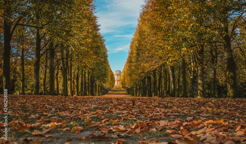 Autumn in park in Potsdam, Germany