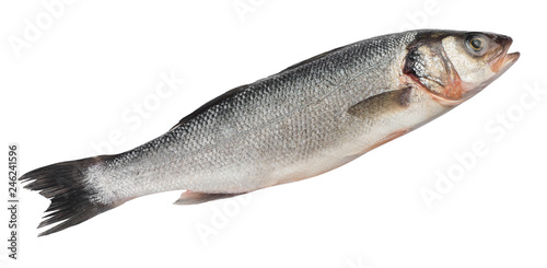 Raw frozen sea bass fish on isolated white background