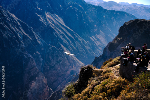 Tourists captureing a condor flying through colca canyon photo