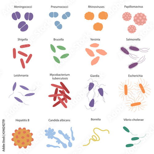 Big colorfull set with different dangerous viruses and germs with its names. Vector illustration for education on microbiology