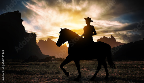 Fototapeta Naklejka Na Ścianę i Meble -  Cowboy on horse at sunset