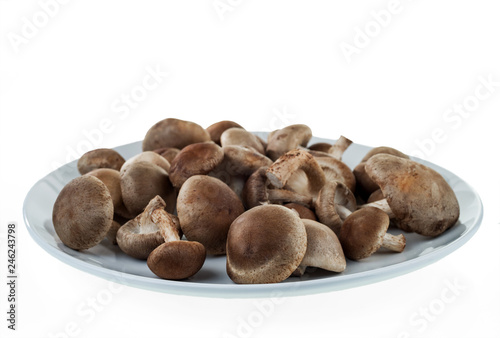 Shiitake mushrooms on a round white plate. Isolated on white background.