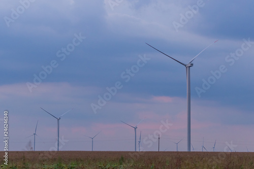 Windmill turbines at blue and purple cloudy sunset sky at agricultural wields © Zoran