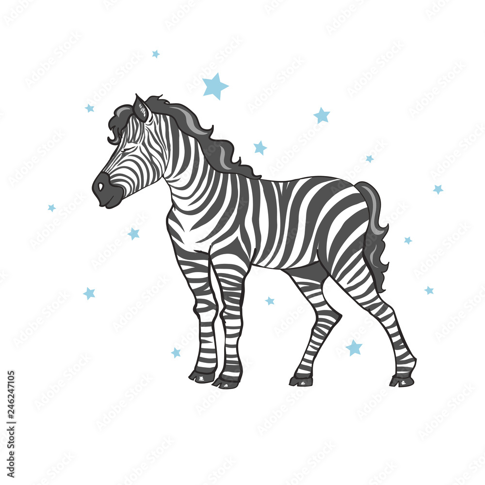 Fototapeta premium cute zebra vector illustration