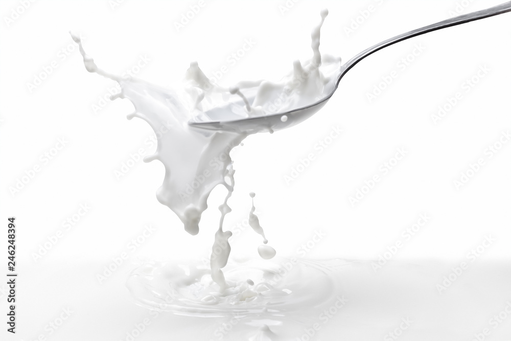 Milk splash in spoon with milk on white background.Frozen moment on the photograph of the spray of milk on white background.Splash milk with high-speed photos.