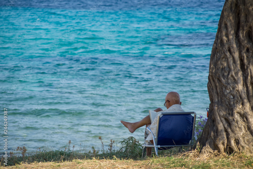 the old man sits on a folding chair next to a tree and reads the book with sea water in background