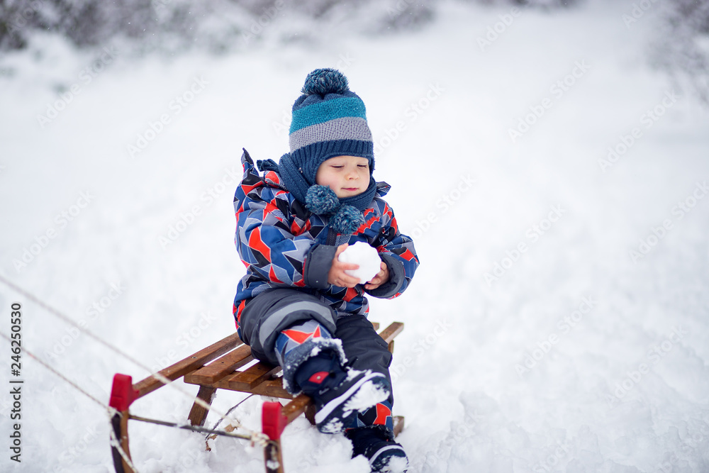 Adorable young boy on a sledge
