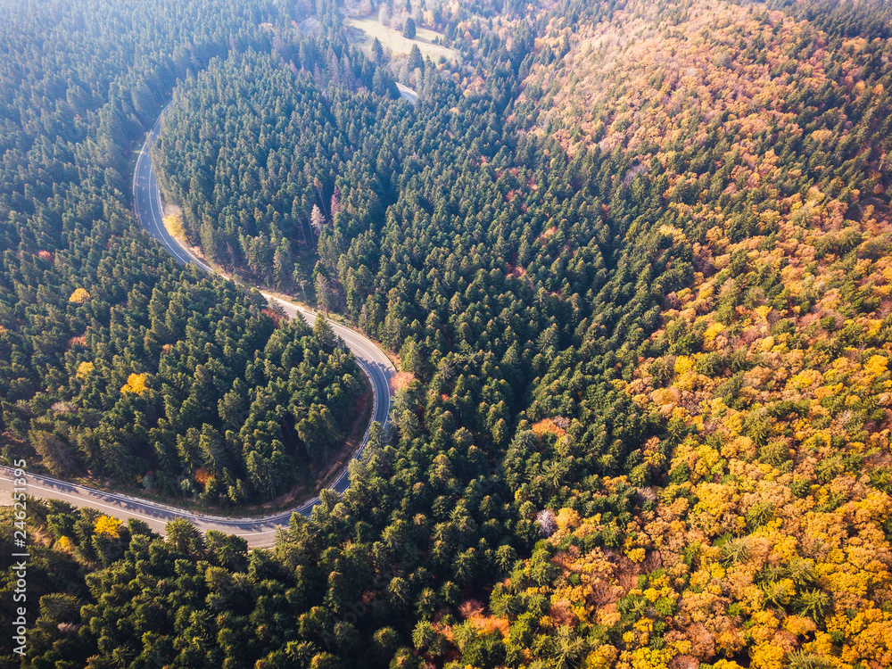 Top view of a curved road from high mountain pass, in autumn season, with orange forest. Aerial view by drone. Romania	