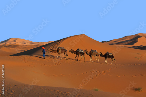Camel caravan trekking in the Sahara desert