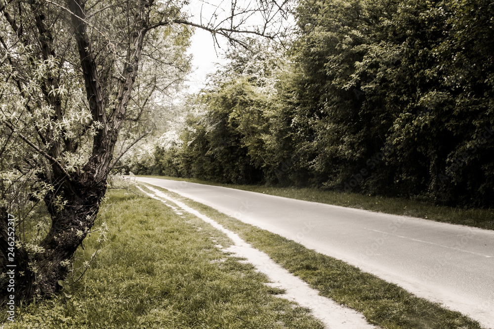 Obraz premium Gournay