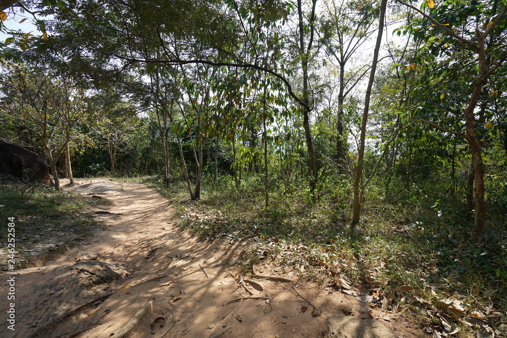 Siem Reap,Cambodia-January 9, 2019: A steep mountain path towards Kbal Spean in Siem Reap, Cambodia