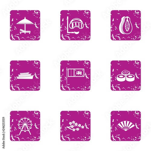 Tropical park entertainment icons set. Grunge set of 9 tropical park entertainment vector icons for web isolated on white background
