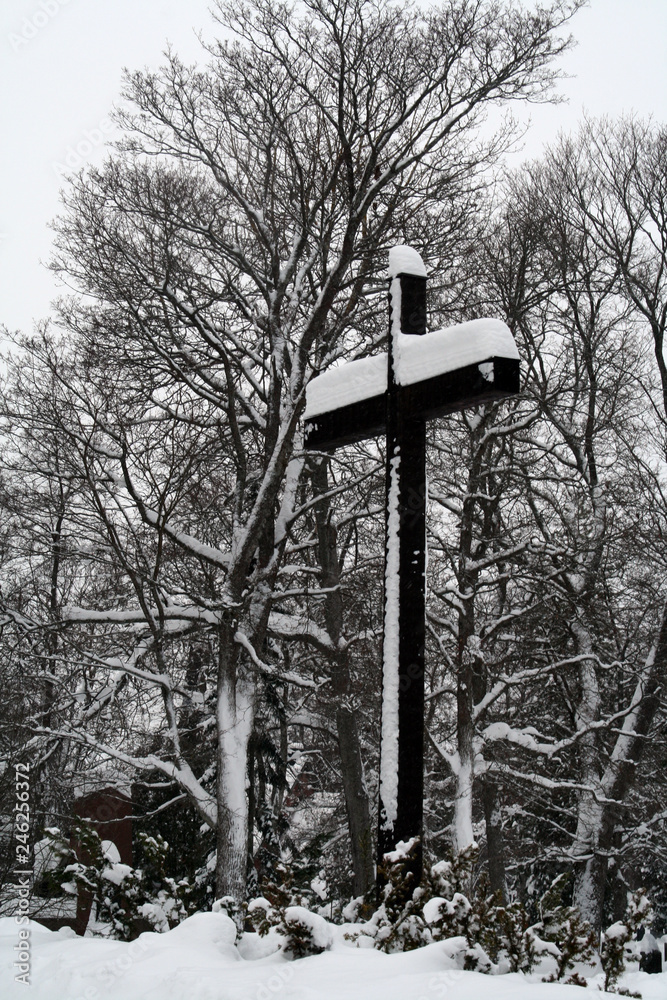 Naklejka premium A cross covered with snow in the freezing autumn environment near Savonlinna Finland