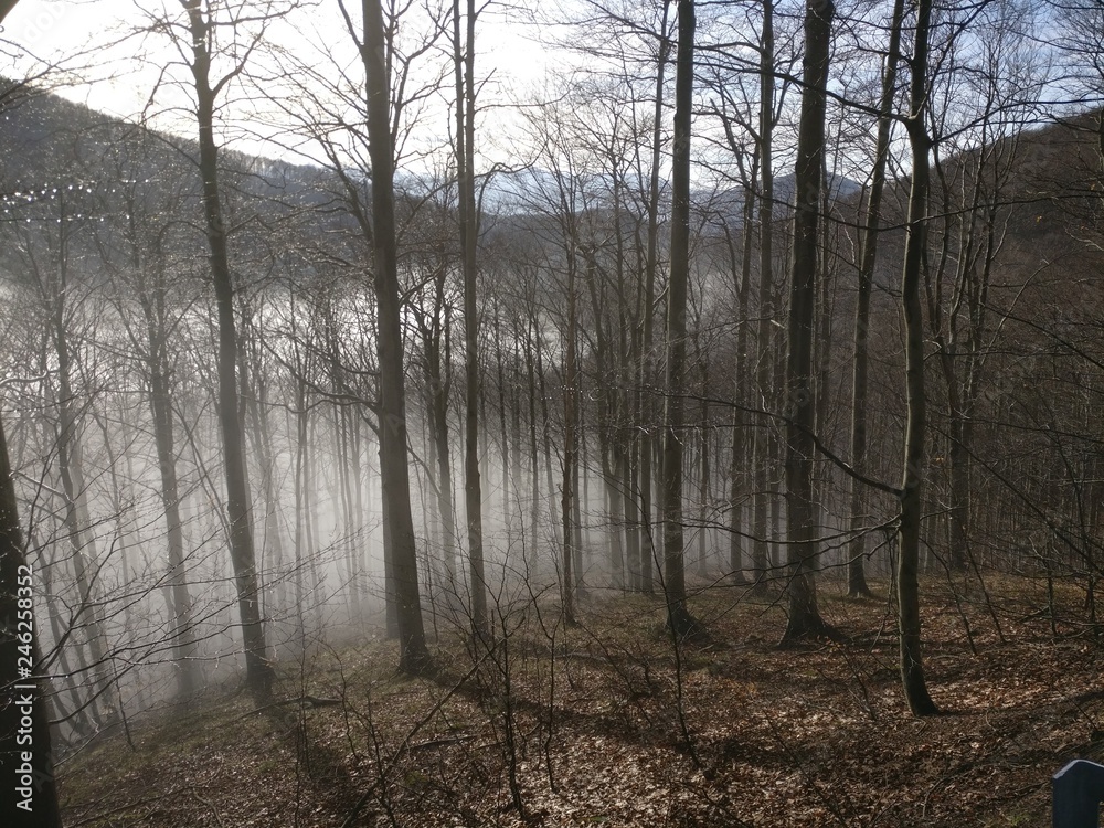Fototapeta premium Passo del Melogno (Liguria, Appennino Ligure)