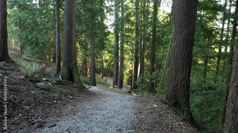 Low Aerial View at Trail in Park. Drone Flying 4K. Low Aerial View at Trail in Park. Drone Flying 4K.