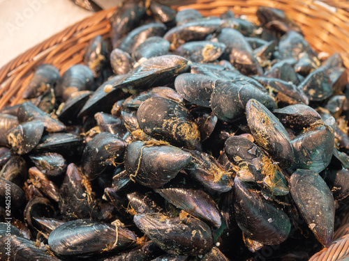 Black mussels at the farmers market in Arles, France