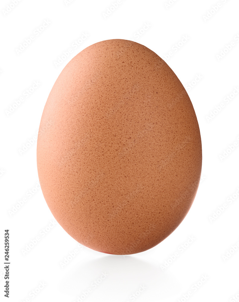 Single brown chicken egg Single brown chicken egg
