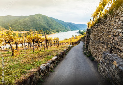 Autumn landscape of Wachau valley, Danube river, Austria. photo