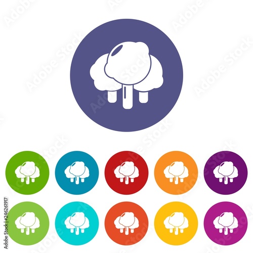 Forest icons color set vector for any web design on white background