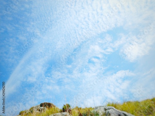 Wallpaper blaue Himmel Wiese und weiße Wolken
