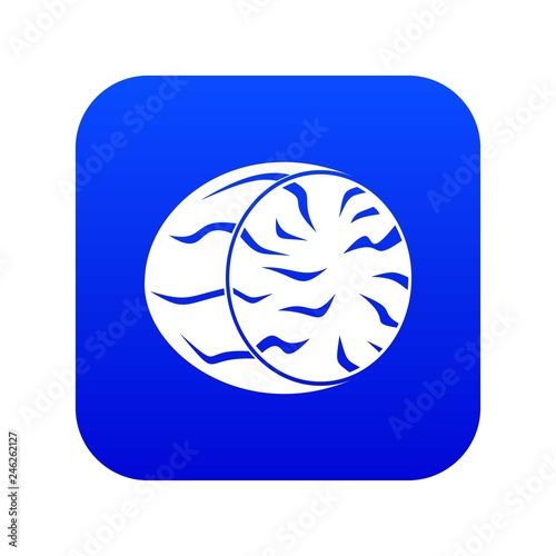 Half of nutmeg icon digital blue for any design isolated on white vector illustration