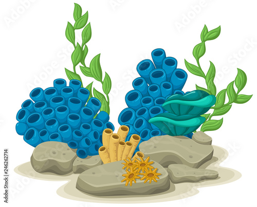 Marine algae, yellow tube sponges and sea anemones growing on a rock sea life