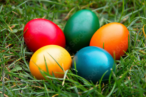 Easter colorful eggs in fresh green grass. Spring, easte holiday background with copy space.