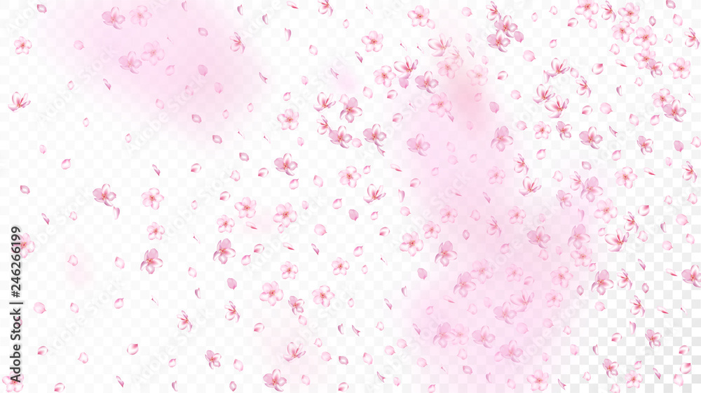 Nice Sakura Blossom Isolated Vector. Pastel Falling 3d Petals Wedding Frame. Japanese Blurred Flowers Illustration. Valentine, Mother's Day Feminine Nice Sakura Blossom Isolated on White