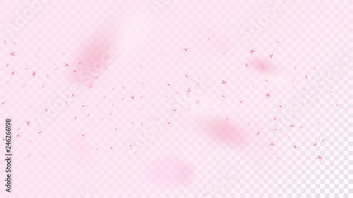 Nice Sakura Blossom Isolated Vector. Pastel Flying 3d Petals Wedding Frame. Japanese Bokeh Flowers Wallpaper. Valentine, Mother's Day Magic Nice Sakura Blossom Isolated on Rose