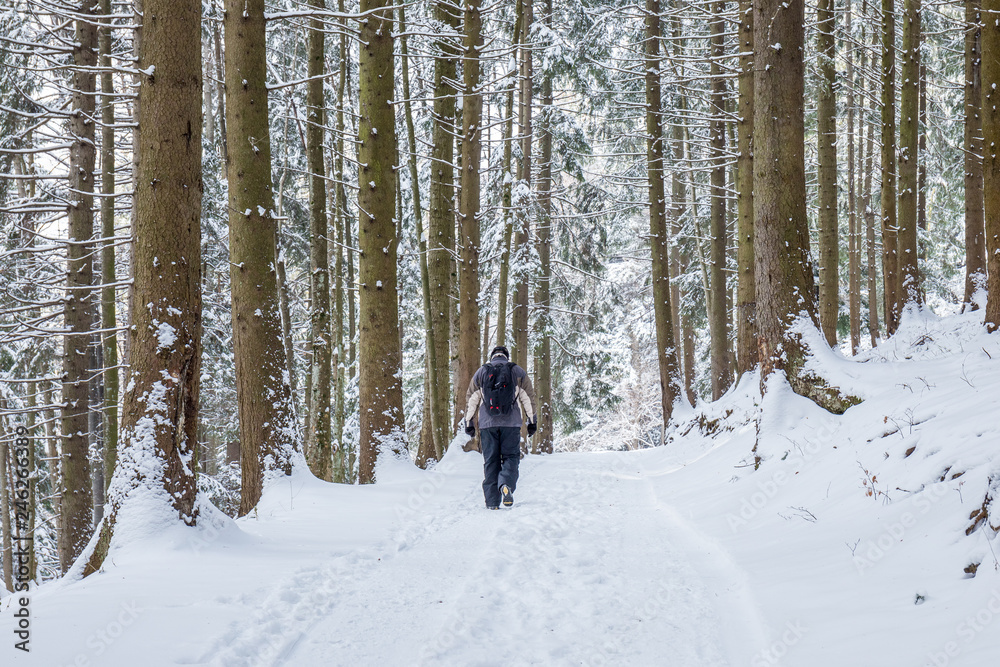 Man walking on a snowy road in the woods